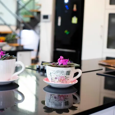 فيلة Sara Kosute