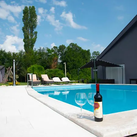 Sara فيلة Kosute