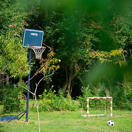 Sara فيلة Kosute